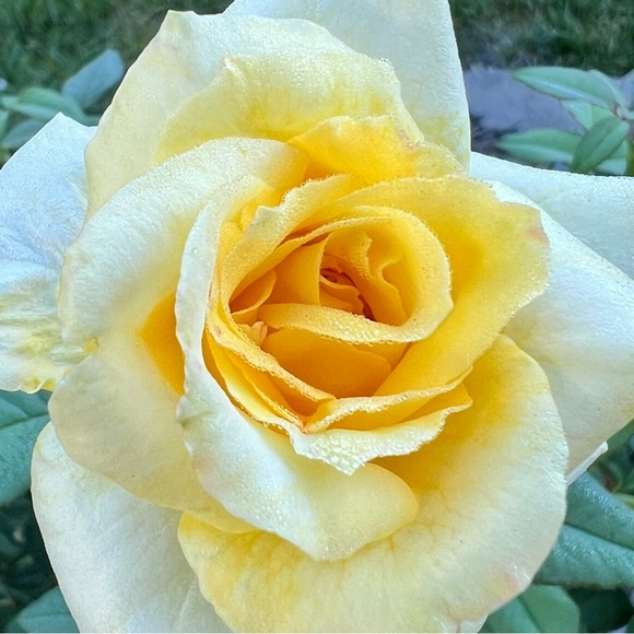 Meet your Posher, Jan - Picture 7 of 10